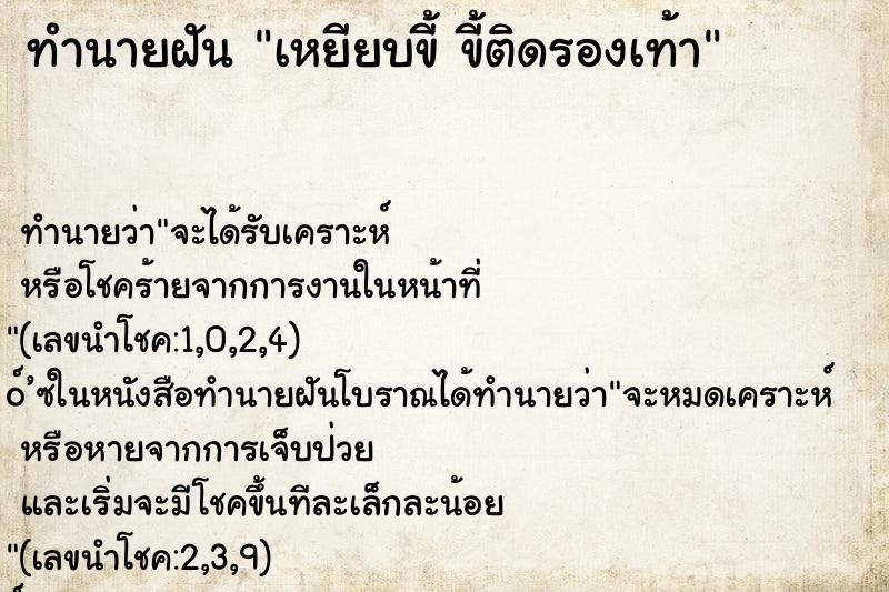 ทำนายฝันทำนายฝันเหยียบขี้ขี้ติดรองเท้า
